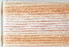 8045 Pale Peaches Variegated Floss