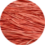 Pink Grapefriut 0823