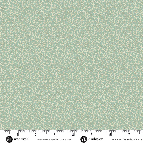 Branch Coral Gulf Stream
