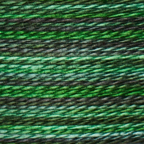 MissUnderstood Eel 243