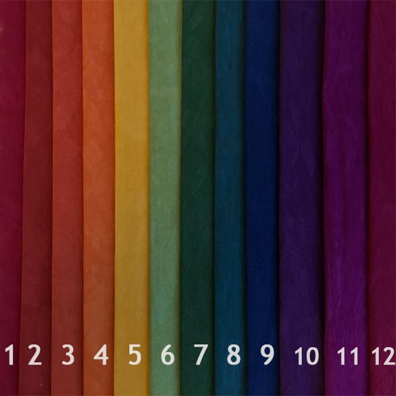 Color Wheel Dark 12-step