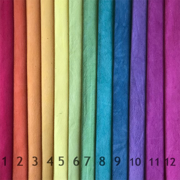 Color Wheel Light 12-step