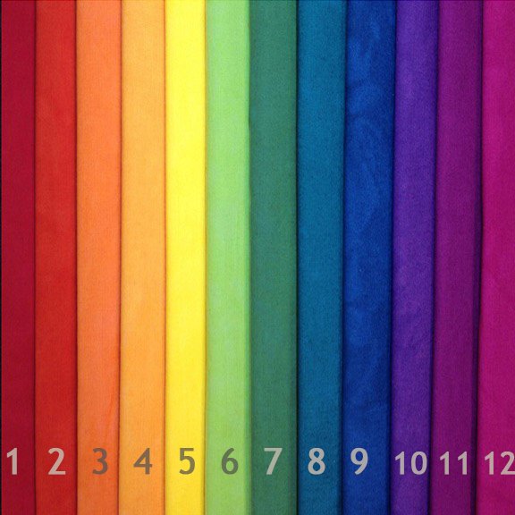 Color Wheel Medium 12-step