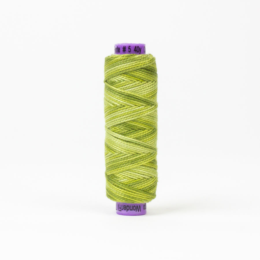 EZM12 Eleganza #5 Variegated