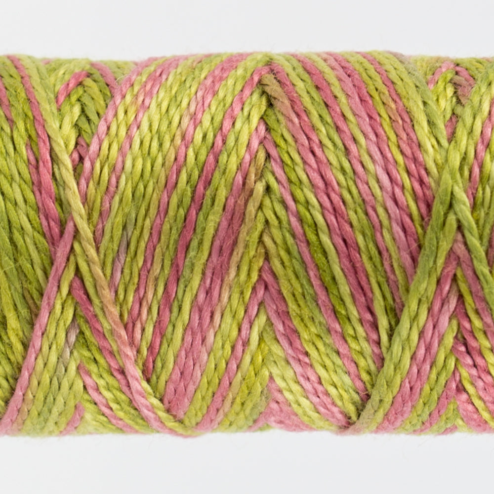 EZM16 Eleganza Variegated #8