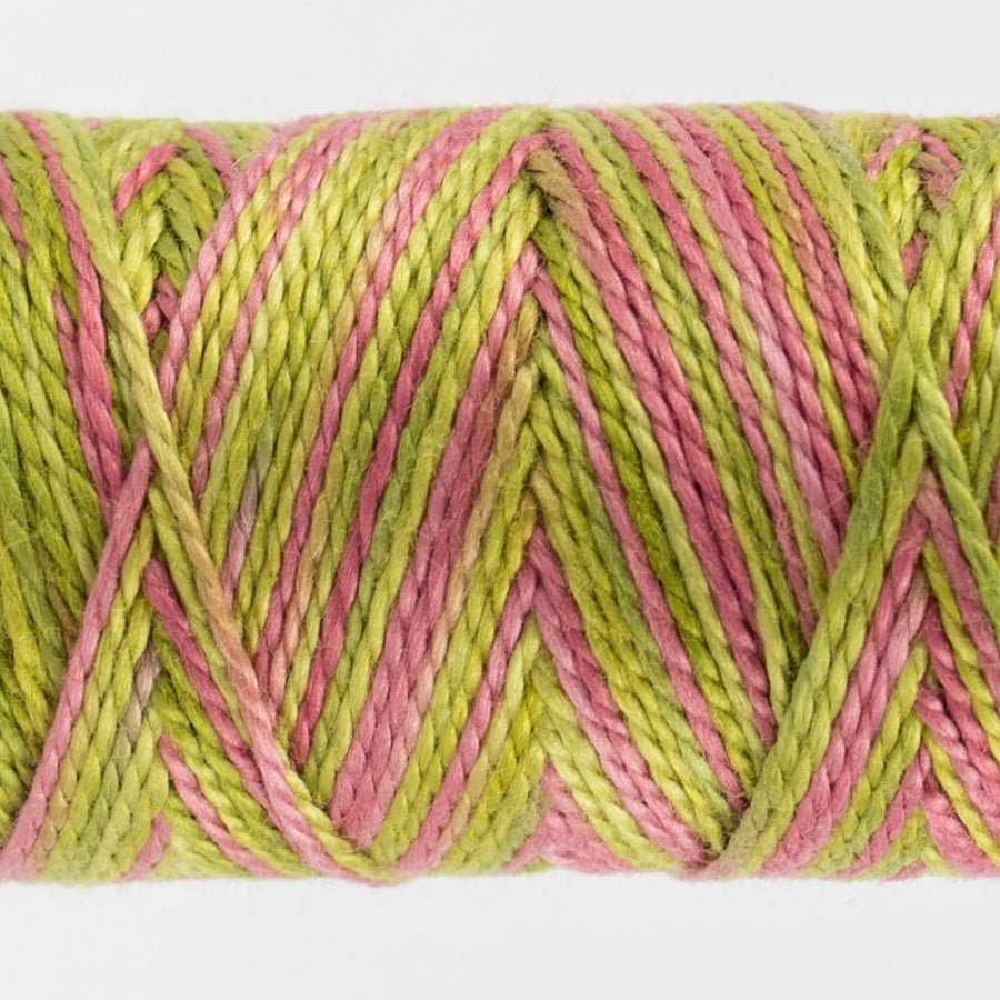 EZM16 Eleganza Variegated #8