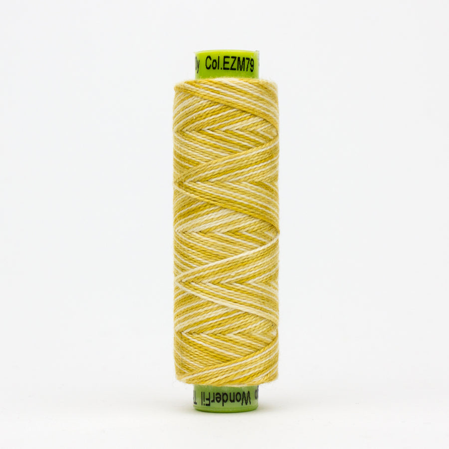 EZM79 Eleganza Variegated #8