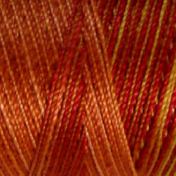 M37 Autumn - Variegated #12 Perle Cotton