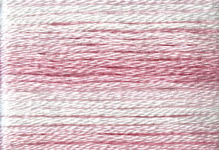 8004 Pinks Variegated Floss