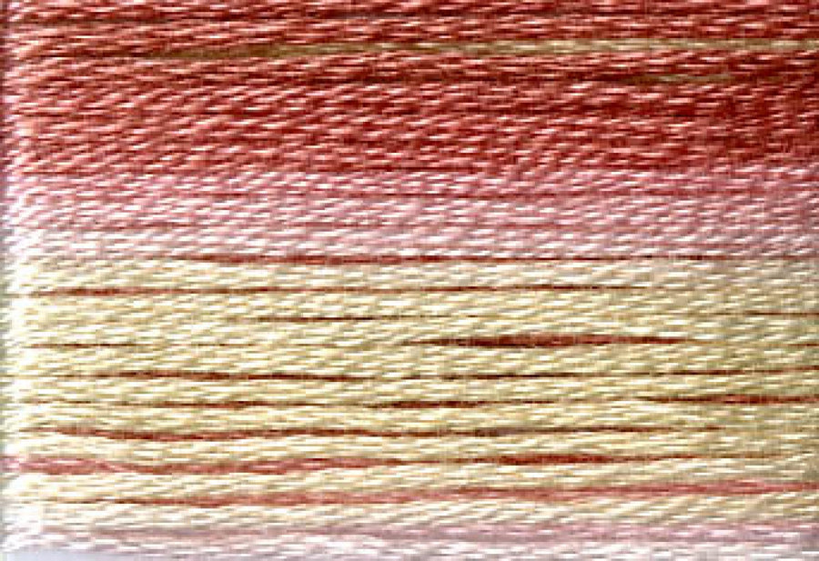 8007 Pinks Cream Variegated Floss