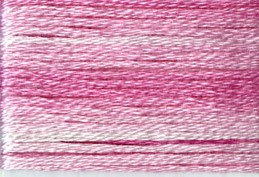8009 Pinks Variegated Floss