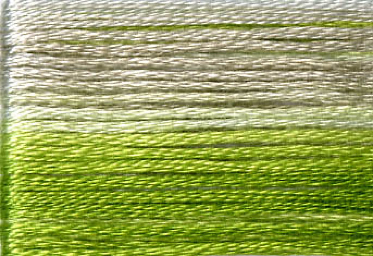 8015 Greens Pale Grey Variegated Floss