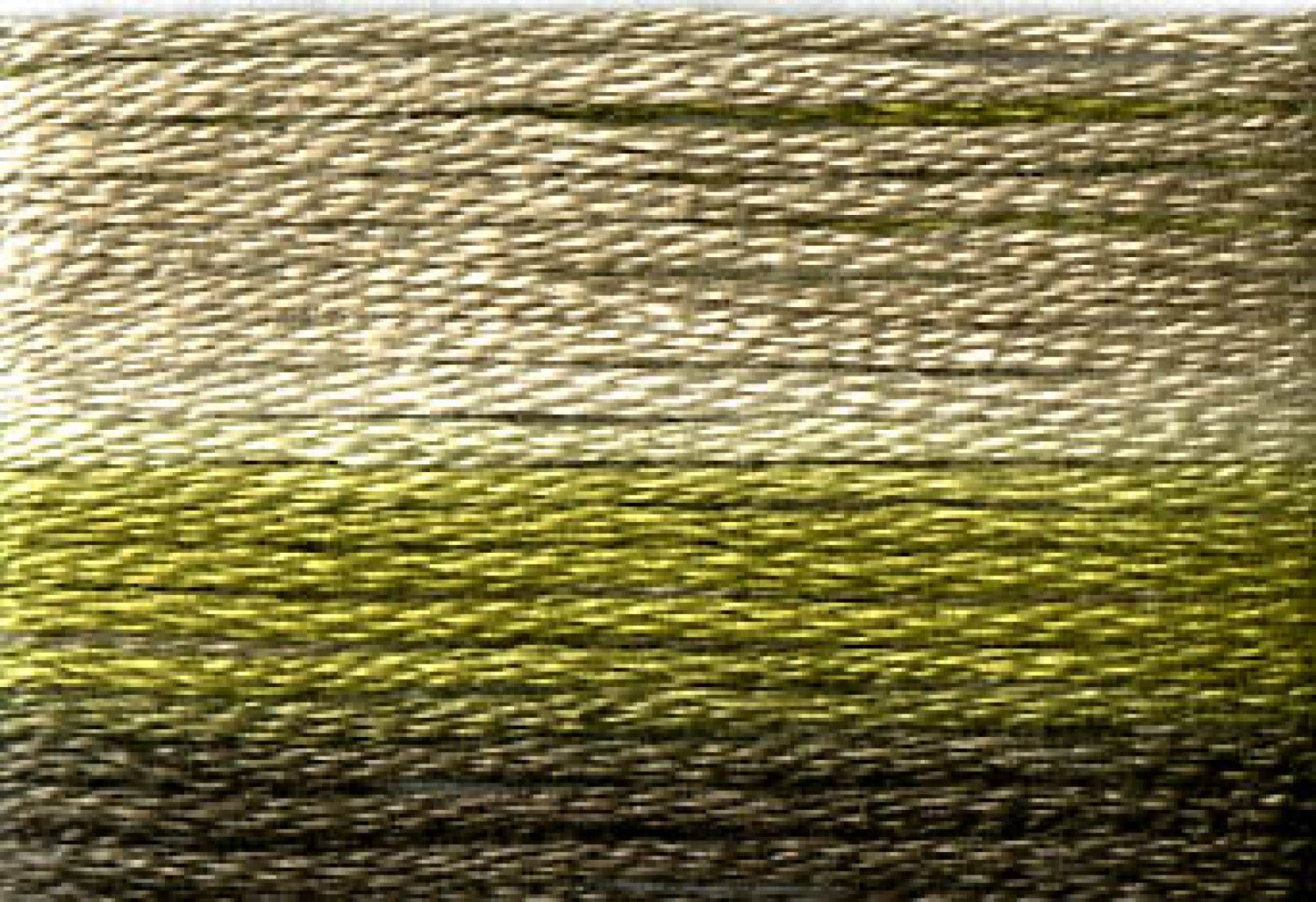 8017 Dark Greens Variegated Floss