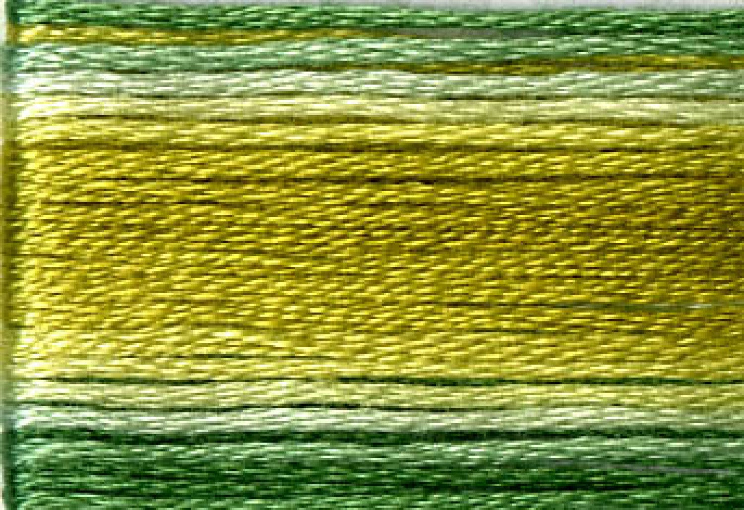8019 Greens Variegated Floss