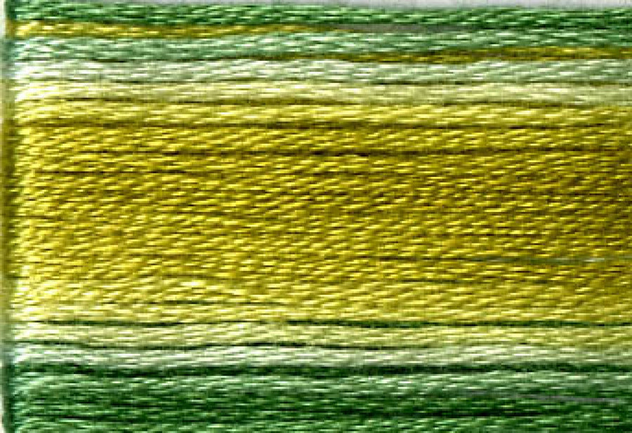 8019 Greens Variegated Floss