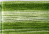 8021 Greens Variegated Floss