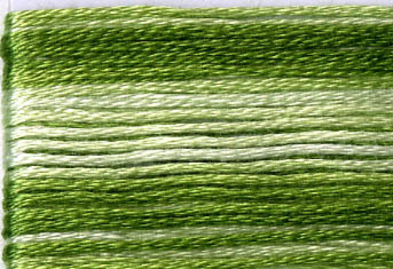 8021 Greens Variegated Floss