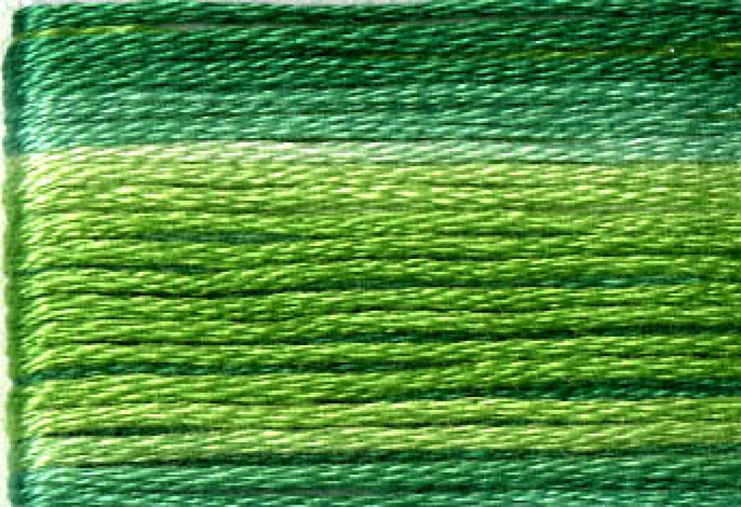 8022 Greens Variegated Floss