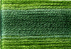 8024 Dark Green Variegated Floss