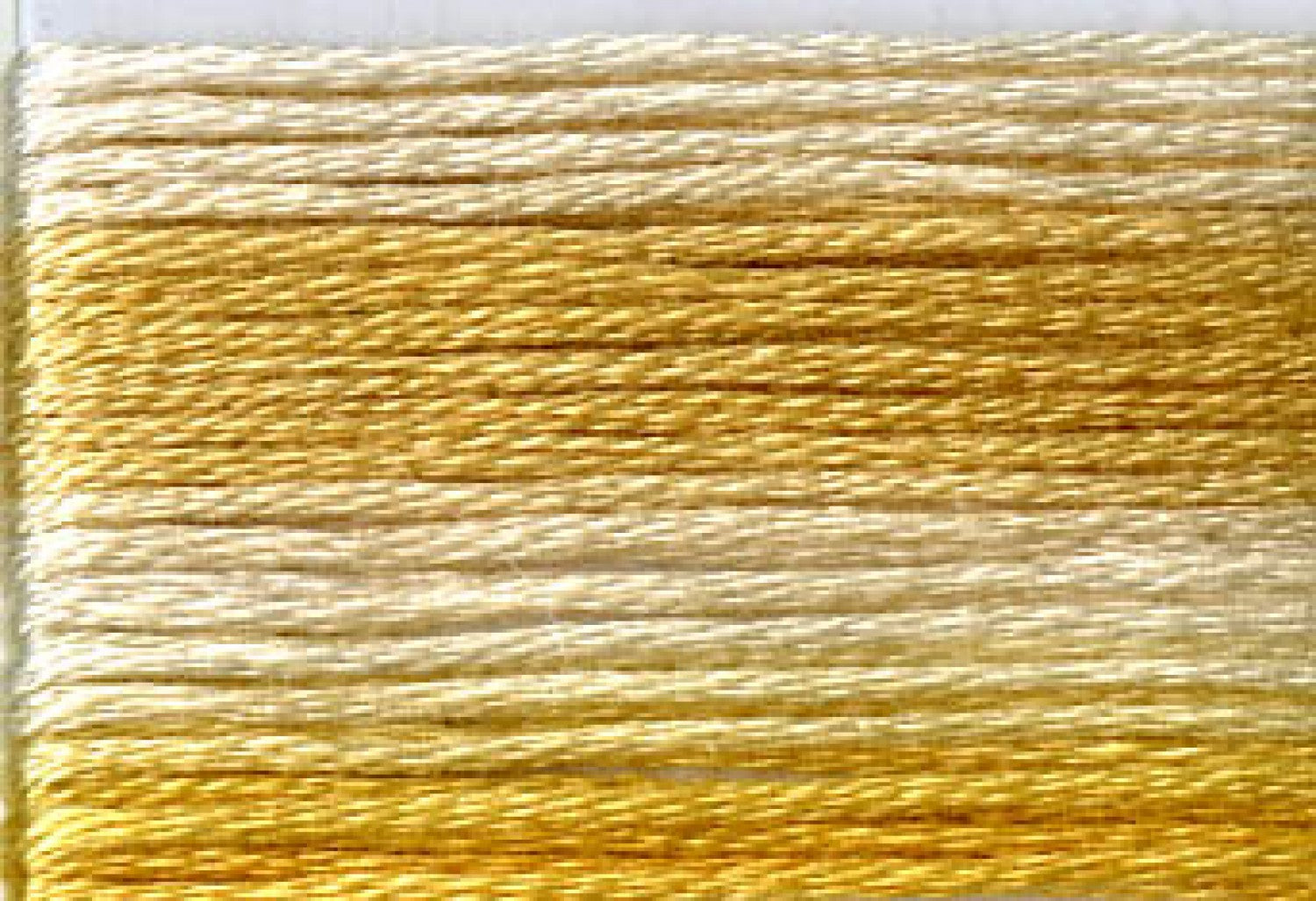 8031 Yellows Variegated Floss