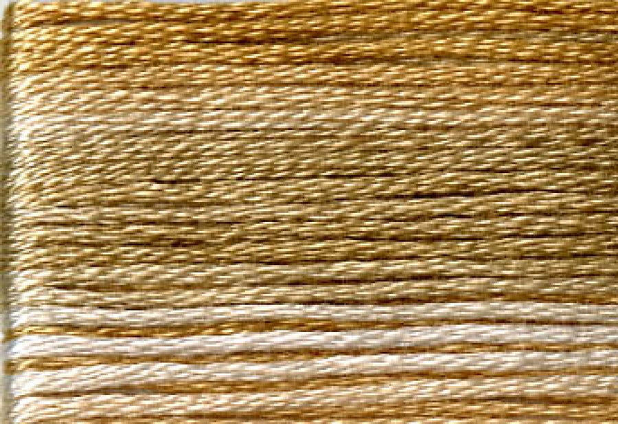 8032 Browns Variegated Floss