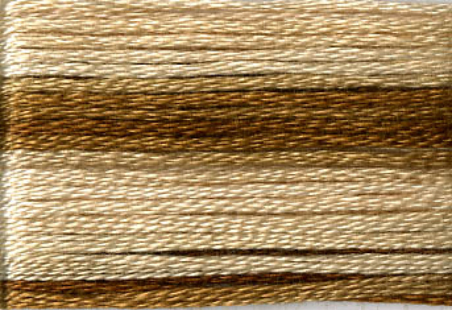 8036 Browns Variegated Floss