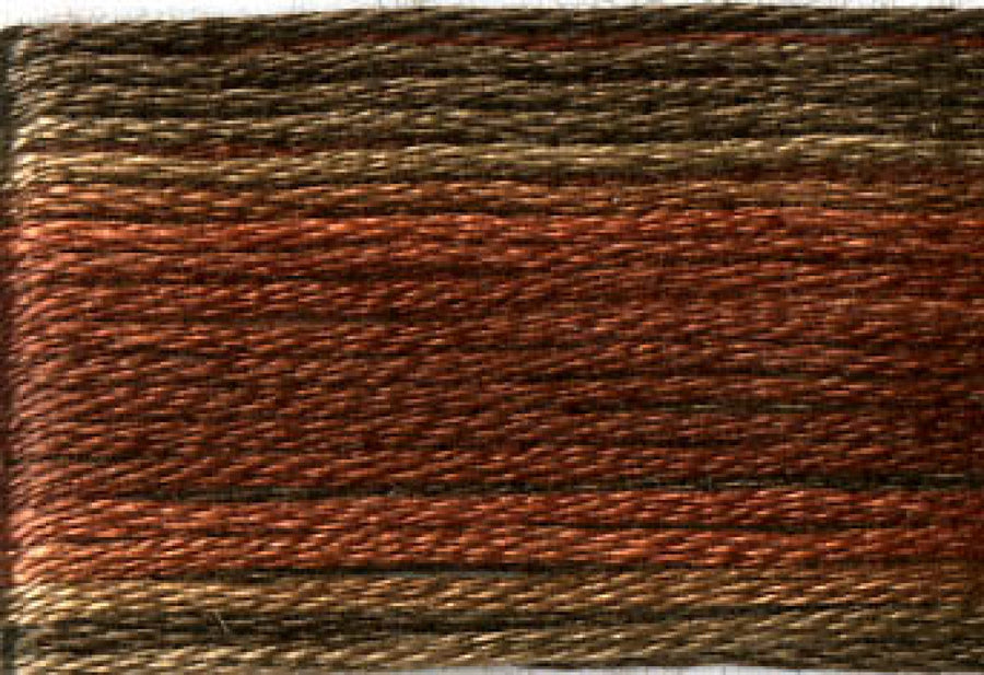 8041 Browns Rusts Variegated Floss