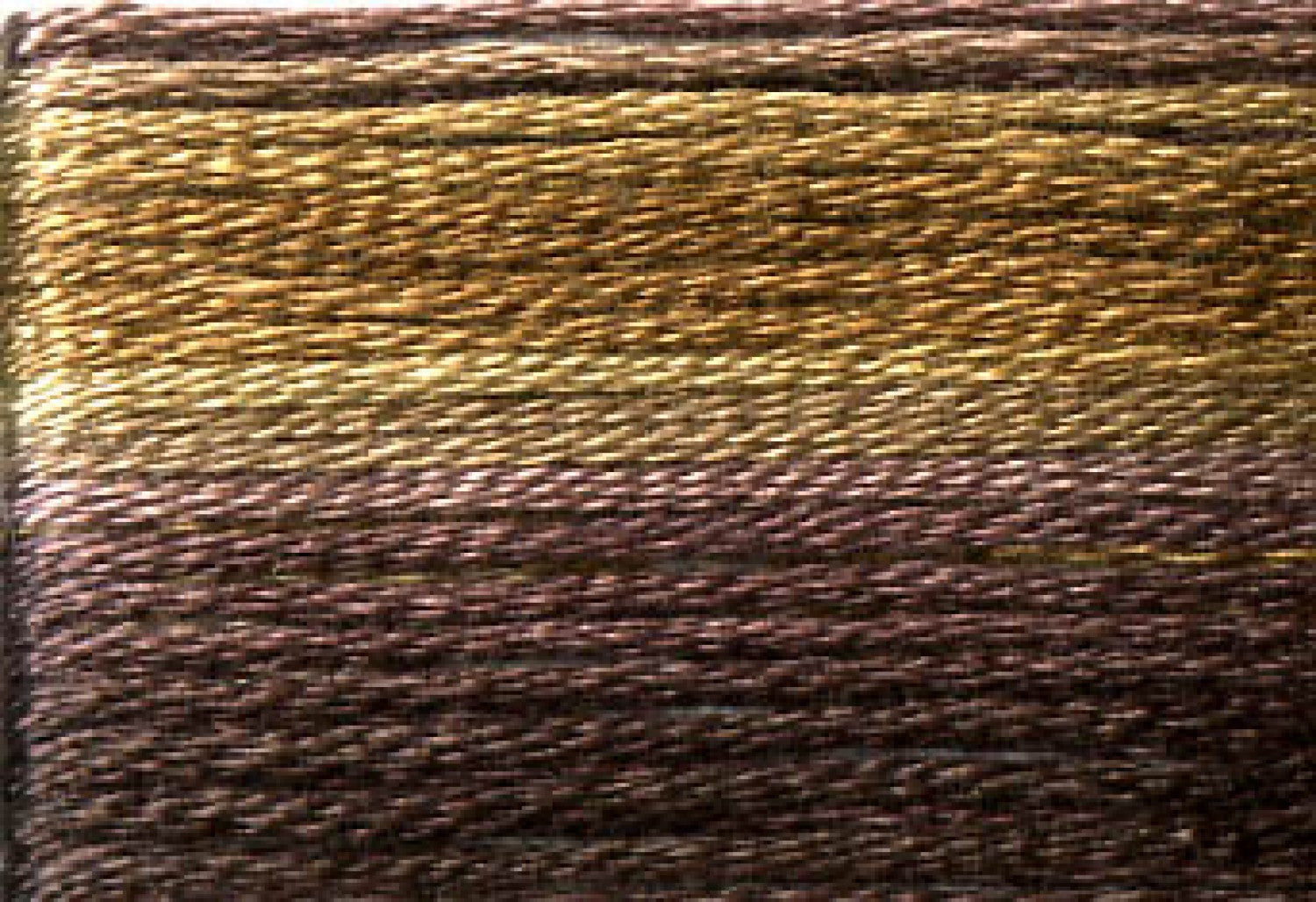 8042 Dark Browns Variegated Floss