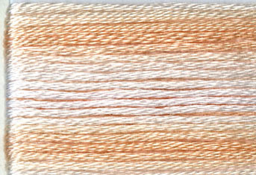 8045 Pale Peaches Variegated Floss