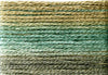 8049 Blues Browns Variegated Floss