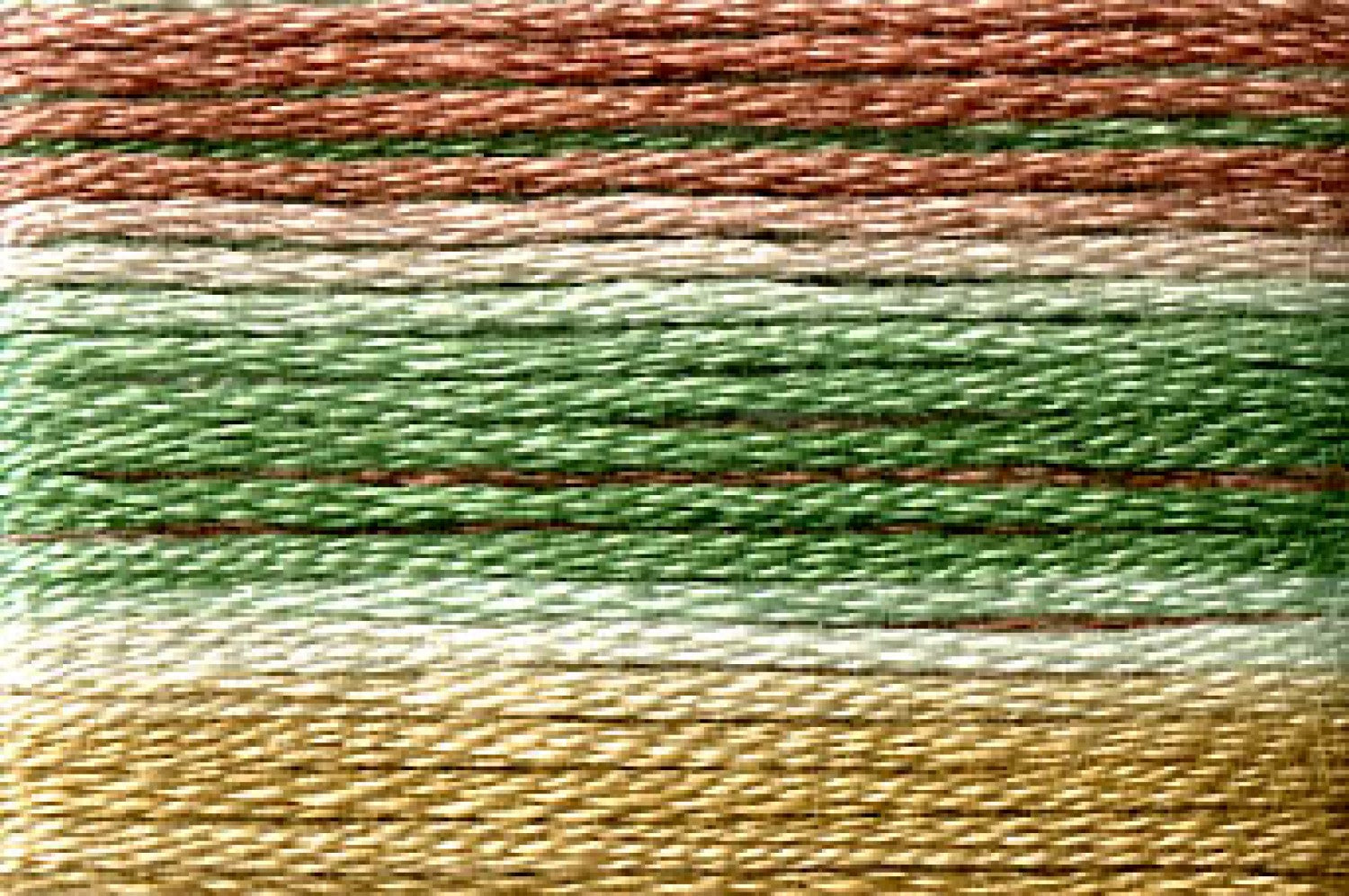 8073 Brown Green Gold Variegated Floss