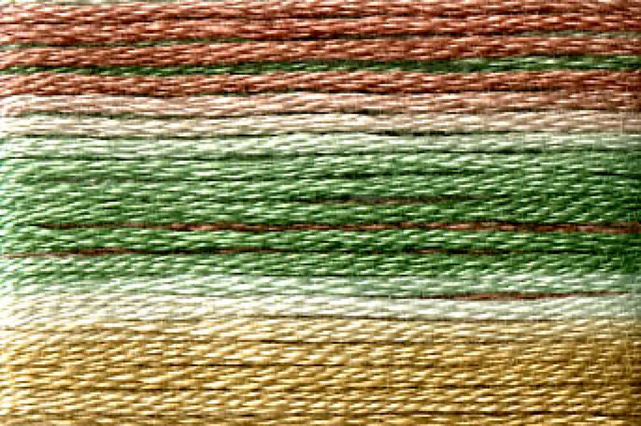 8073 Brown Green Gold Variegated Floss